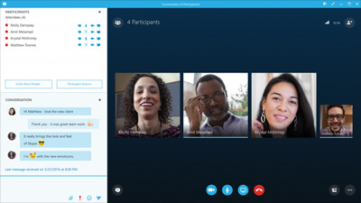 Skype Interface